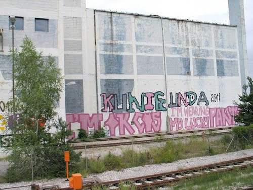 Velenje 2012.g., velenjski grafiti