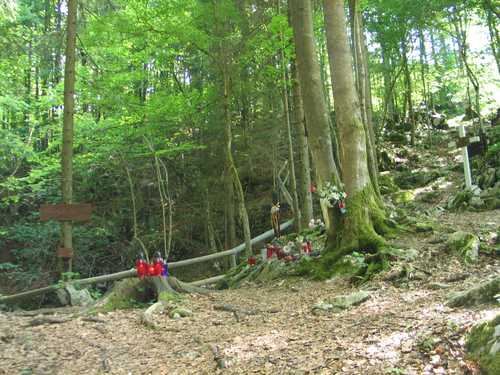 Jama pod Krenom (2007.g.): prikaz območja komunističnega divjanja 1945.leta