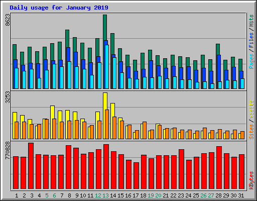 Daily usage for January 2019