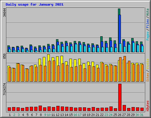 Daily usage for January 2021