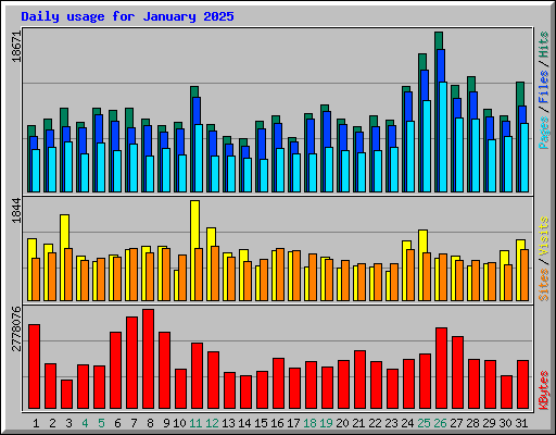 Daily usage for January 2025