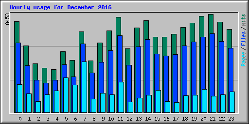 Hourly usage for December 2016