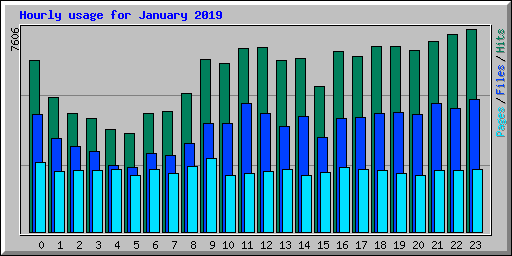Hourly usage for January 2019