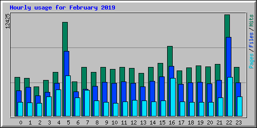Hourly usage for February 2019