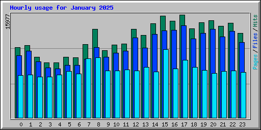 Hourly usage for January 2025