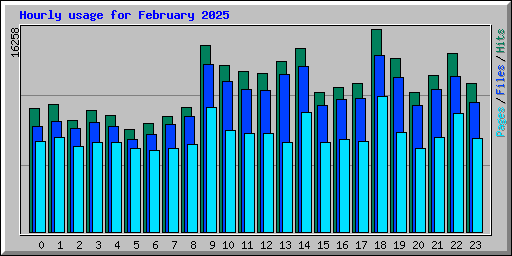 Hourly usage for February 2025